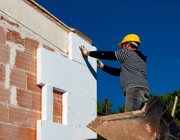 Best Residential Insulation in Trappe, MD