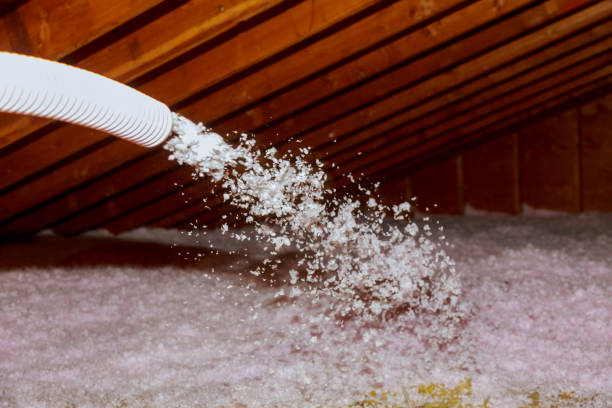 Best Eco-Friendly Insulation in Trappe, MD