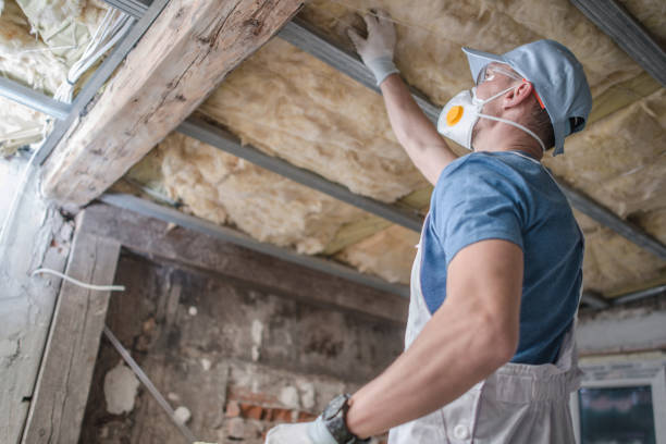 Best Blown-in Insulation in Trappe, MD