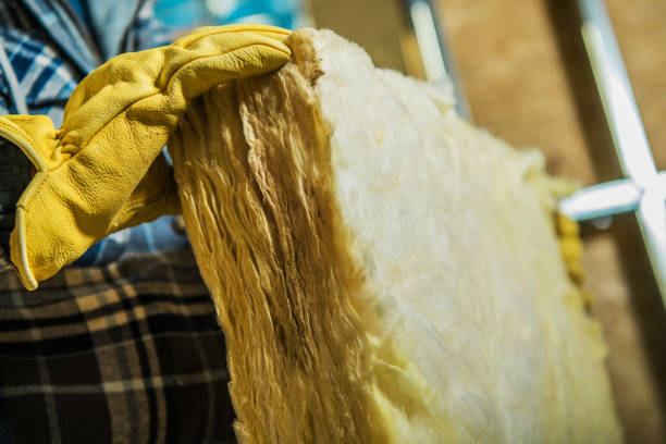 Best Spray Foam Insulation in Trappe, MD
