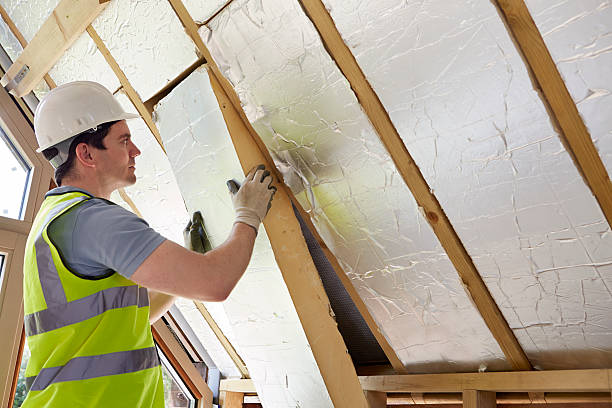 Best Eco-Friendly Insulation in Trappe, MD