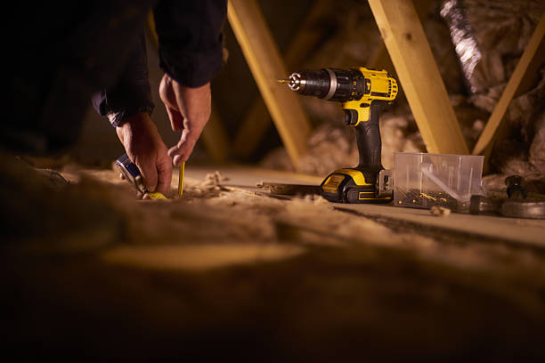 Best Geographic-Specific Insulation Services in Trappe, MD