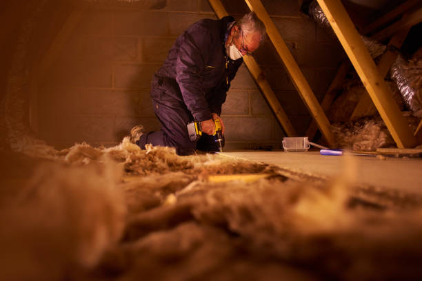 Professional Insulation Contractor in Trappe, MD